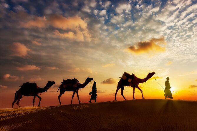Sunset or Sunrise Camel ride in the Sahara Desert of Douz - Douz Sahara Camel Ride: Sunrise or Sunset Timing
