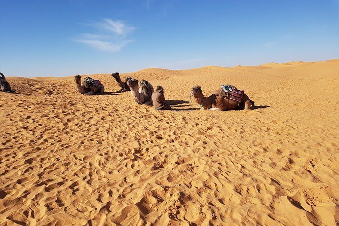 Tatouine - Cheneni - Ksar Ghuilaine - Matmata: 2 days visit - The Highlights That Make This 2-Day Route Worth Your Time