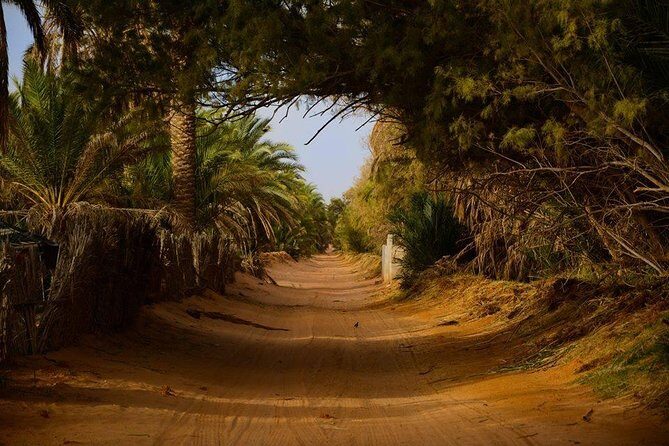 Tatouine - Cheneni - Ksar Ghuilaine - Matmata: 2 days visit - What This Tour Feels Like: Best-Fit Travelers