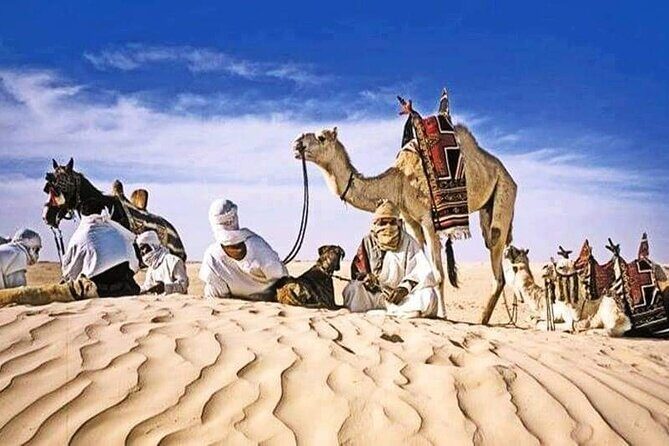 The Tunisian South between Oasis and Mountain: 3 Days / 2 Nights Douz and Tozeur - Chebika and Tamerza Canyon: mountain oases and canyon drama