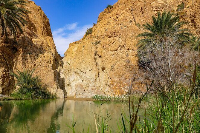 Tozeur Private Half-Day Tour: Tamerza, Chebika and Mides Canyons - Tamerza Canyon: Waterfalls, Palm Groves, and Old Berber Ruins
