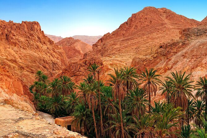 Tozeur Private Half-Day Tour: Tamerza, Chebika and Mides Canyons - Should You Book This Tozeur Half-Day Canyon Tour?