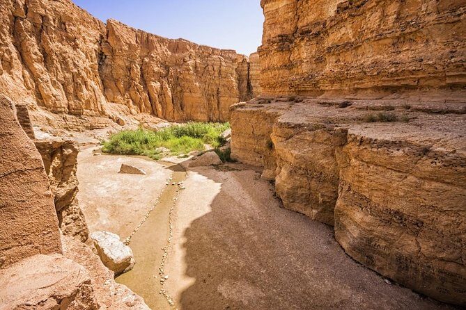 Tozeur Private Half-Day Tour: Tamerza, Chebika and Mides Canyons - Chebika: Oasis of the Sun and a Mountain Village Feeling