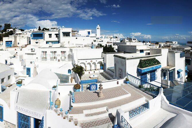 Tunis: Carthage, Bardo Museum, Sidi Bou Said & Medina Group Tour - Key highlights worth planning for