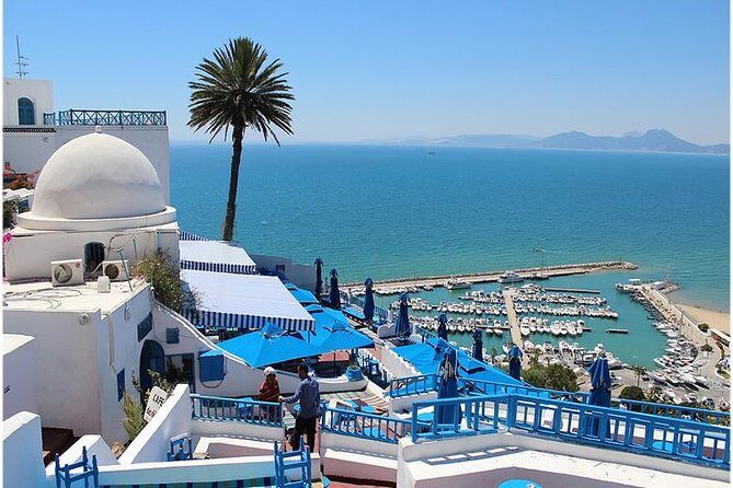Tunis, Sidi Bousaid and Carthage day trip from Hammamet - Price and value: what makes $116.30 feel fair