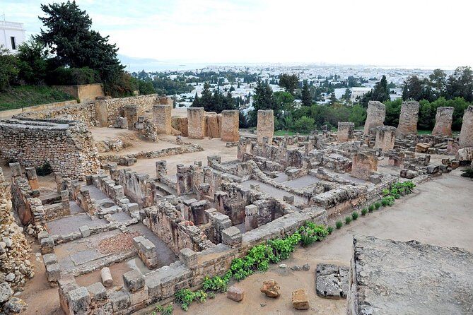 Tunis, Sidi Bousaid and Carthage Day Trip from Monastir - Who should book this Monastir day trip?