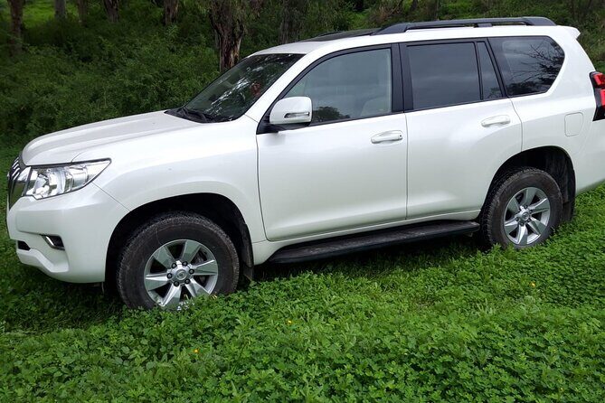 VIP transfer between Tunis Carthage Airport and a hotel in Tunis - The 4x4 Ride Experience: Clean Car, WiFi, Water, and Room for Luggage