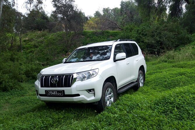 VIP transfer between Tunis Carthage Airport and a hotel in Tunis - Flight Delays, Made Less Annoying