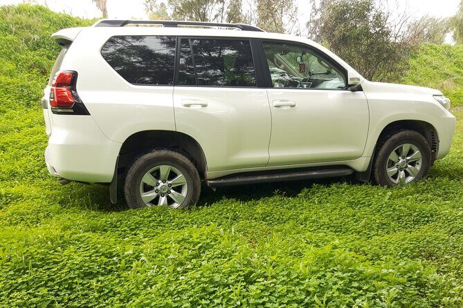 VIP transfer between Tunis Carthage Airport and a hotel in Tunis - Family-Friendly Extras: Baby Seats and Meeting the Whole Group
